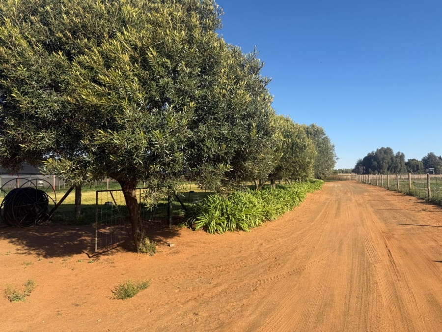 4 Bedroom Property for Sale in Bainsvlei Free State